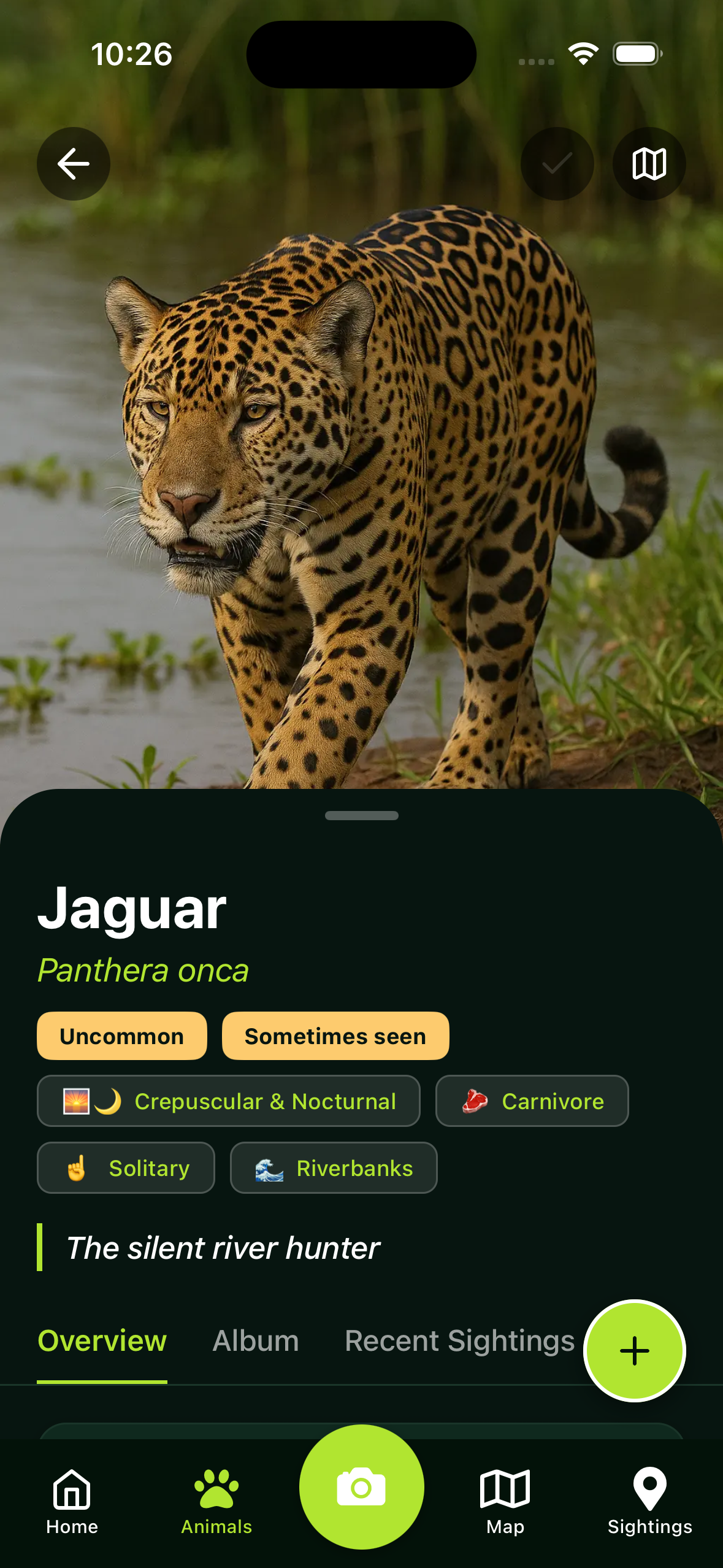 WildGuide App Jaguar Screen